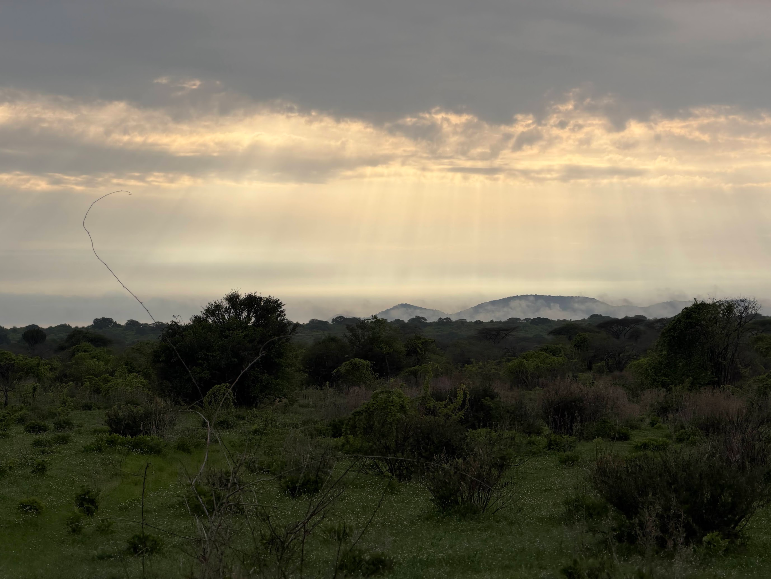 Tanzania 2026